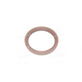 Сальник (вир-во PAYEN)