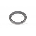 Сальник (вир-во PAYEN) 