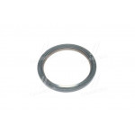 Сальник (вир-во PAYEN) 