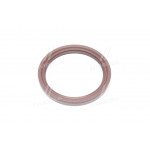 Сальник (вир-во PAYEN) 