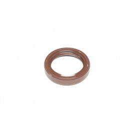 Сальник (вир-во PAYEN)