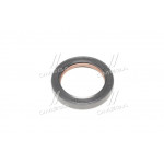 Сальник (вир-во PAYEN) 