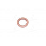 Сальник (вир-во PAYEN) 