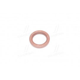 Сальник (вир-во PAYEN)