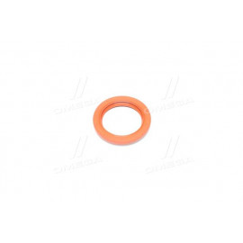 Сальник (вир-во PAYEN)