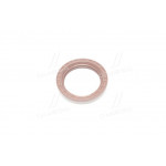 Сальник (вир-во PAYEN) 