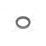 Сальник (вир-во PAYEN) 