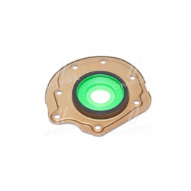 Сальник (вир-во PAYEN)