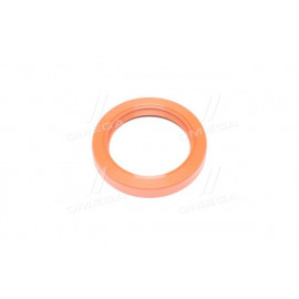 Сальник (вир-во PAYEN)