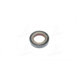 Сальник (вир-во PAYEN)