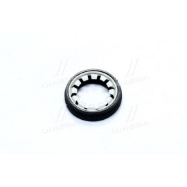 Сальник (вир-во PAYEN)