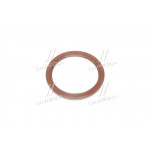 Сальник (вир-во PAYEN) 