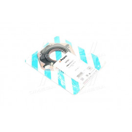 Сальник (вир-во PAYEN)