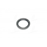 Сальник (вир-во PAYEN) 