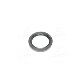 Сальник (вир-во PAYEN)