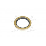 Сальник (вир-во PAYEN) 