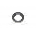 Сальник (вир-во PAYEN) 