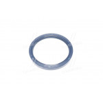 Сальник (вир-во PAYEN) 