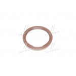 Сальник (вир-во PAYEN) 