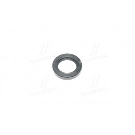 Сальник (вир-во PAYEN)