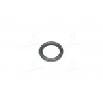 Сальник (вир-во PAYEN) 