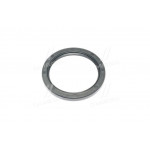 Сальник (вир-во PAYEN) 