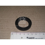 Сальник (вир-во PAYEN) 