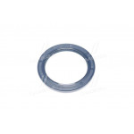 Сальник (вир-во PAYEN) 