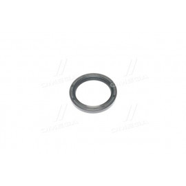 Сальник (вир-во PAYEN)