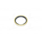 Сальник (вир-во PAYEN) 