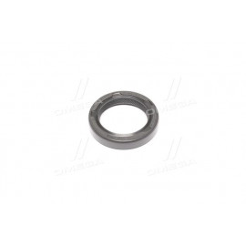 Сальник (вир-во PAYEN)