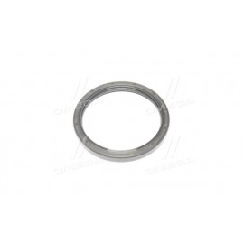 Сальник (вир-во PAYEN)