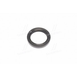 Сальник (вир-во PAYEN)