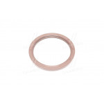 Сальник (вир-во PAYEN) 