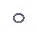 Сальник (вир-во PAYEN) 