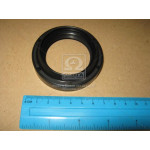 Сальник (вир-во PAYEN) 