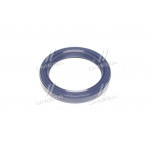 Сальник (вир-во PAYEN) 