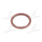 Сальник колінвалу 