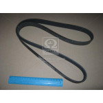 Ремень поликлин. (пр-во Contitech) 