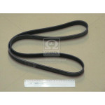 Ремінь поліклин. (вир-во Contitech) 