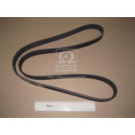 Ремень поликлин. (пр-во Contitech) 