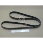 Ремень поликлин. (пр-во Contitech) 