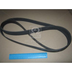 Ремінь поліклин. (вир-во Contitech) 