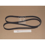 Ремень поликлин. (пр-во Contitech) 