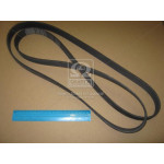 Ремень поликлин. (пр-во Contitech) 