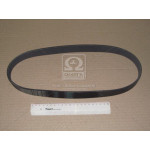 Ремінь полікліновий (вир-во Contitech) 