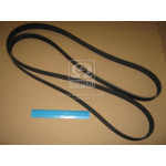 Ремень поликлин. (пр-во Contitech) 