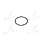 Уплотнит. кольцо 37 х3,6 (038-044-36) (4295) 