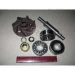 Р/К насоса водяного 260-1307116 та їх модифікації (вир-во БЗА) 