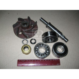 Р/К насоса водяного 260-1307116 та їх модифікації (вир-во БЗА)